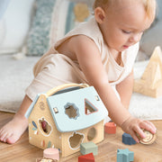House Shape Toy