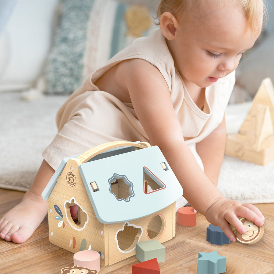 House Shape Toy