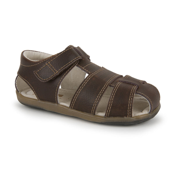 Jude IV - Brown