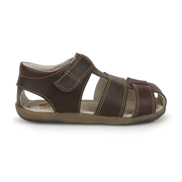 Jude IV - Brown