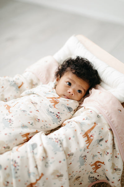Muslin Swaddle - Baby Dinomite