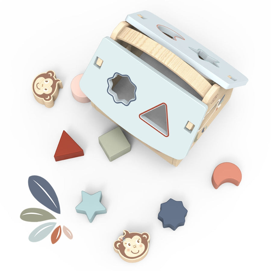 House Shape Toy