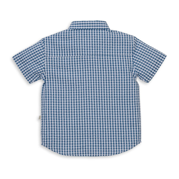 Organic Cotton Button Down Shirt - Blue Gingham
