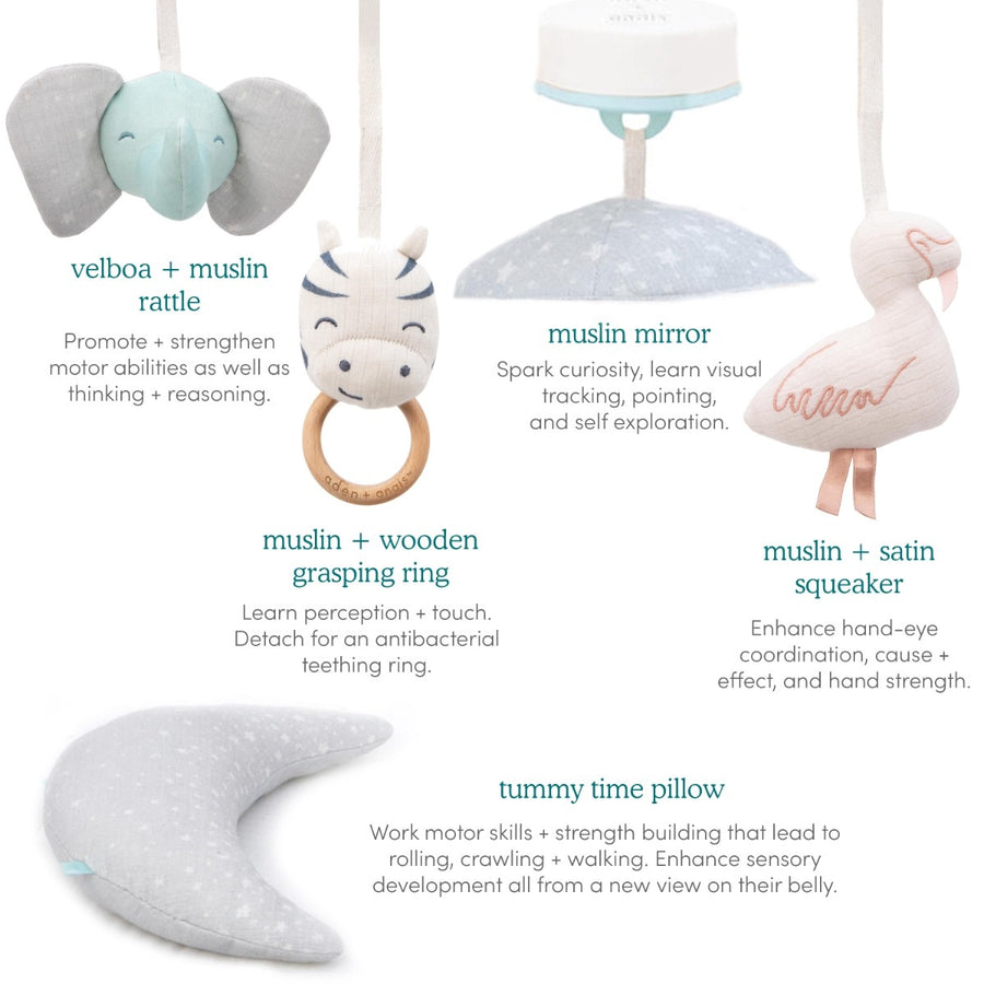 Rising Star Play + Discover Activity Gym