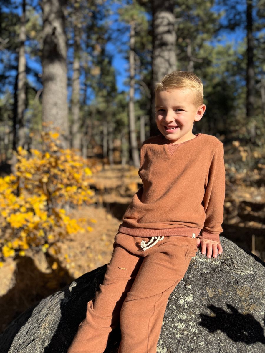 Tarquin Sweatshirt - Brown