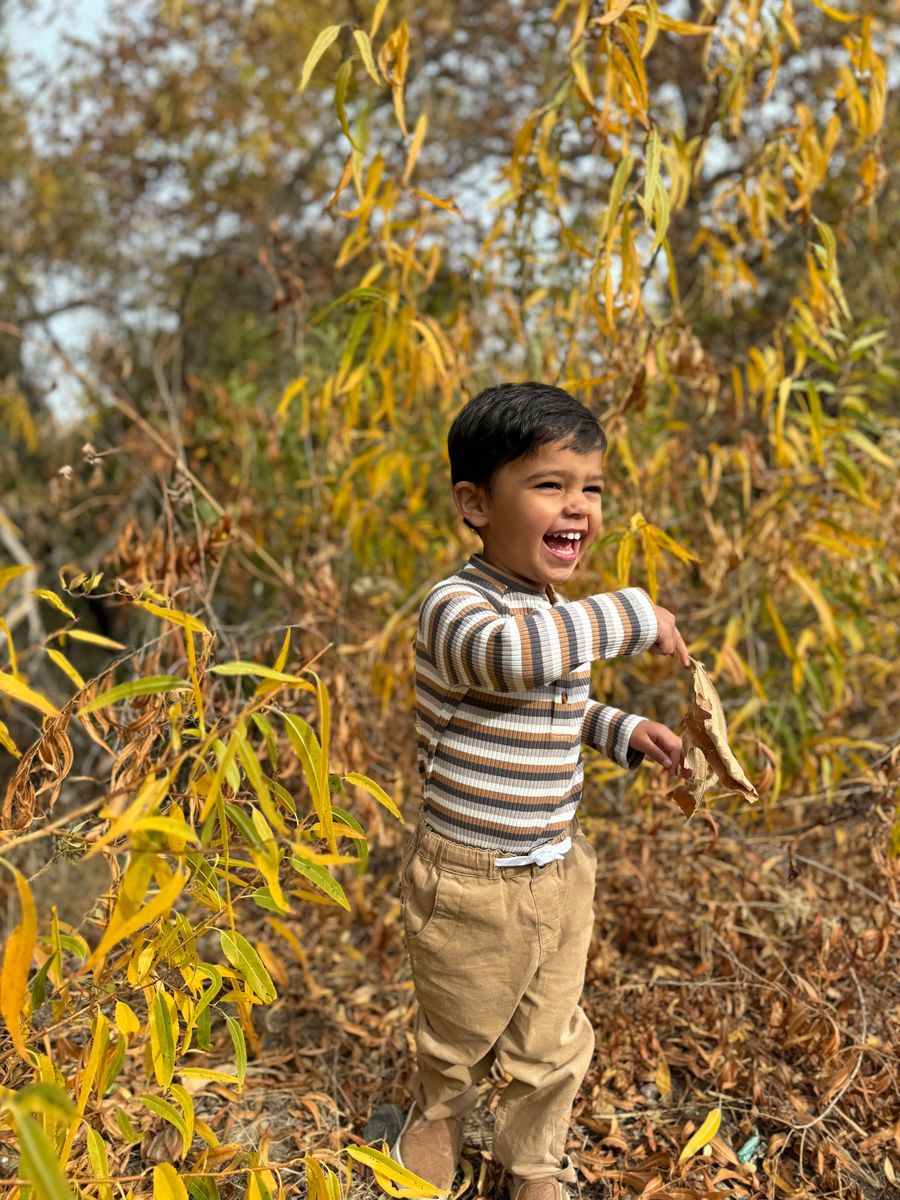 Jackstay Henley Raglan Onesie - Brown Multi Stripe