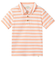 Shipping Polo - Peach/White stripe