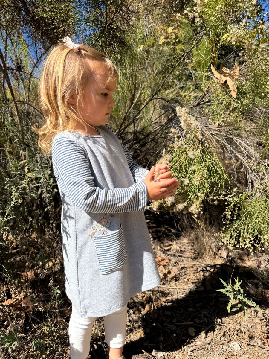 Quinn Dress - Blue Bird