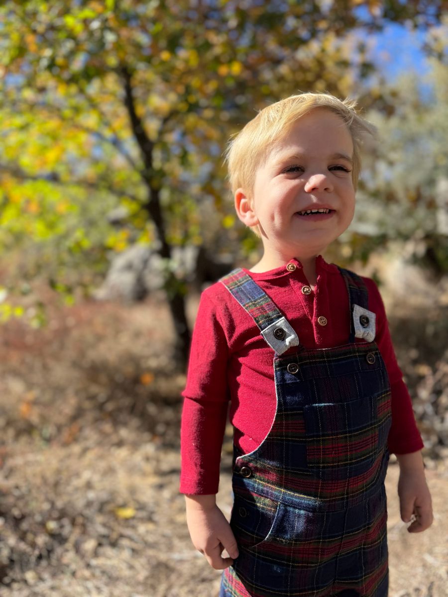 Gentry Woven Overalls - Festive Blue Plaid