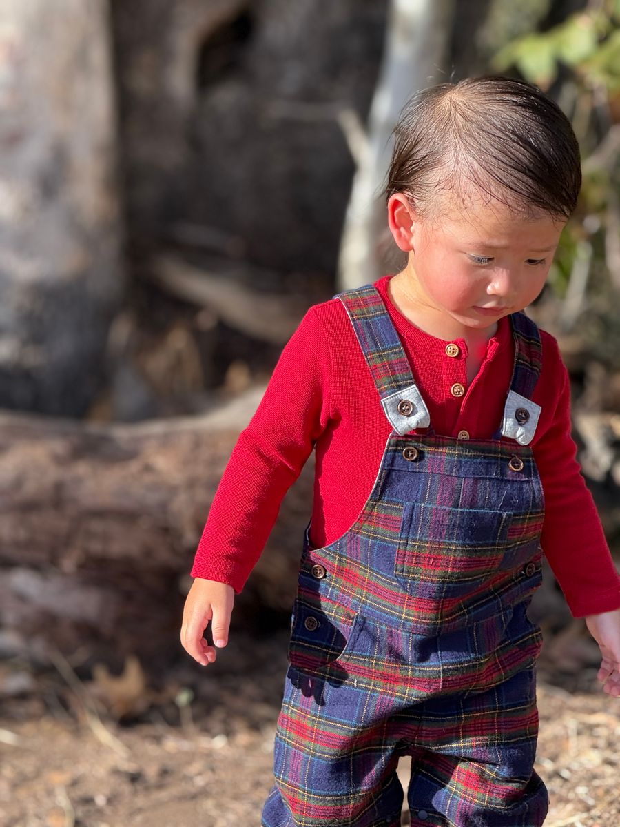 Gentry Woven Overalls - Festive Blue Plaid