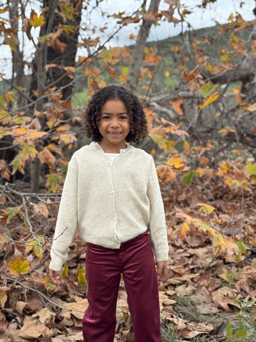 Eliza Cardigan - Oatmeal Sparkle