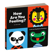 How are You Feeling - A Lift the Flap Book