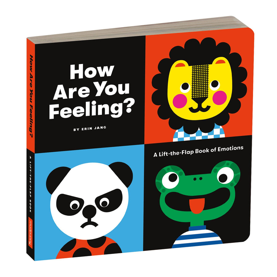 How are You Feeling - A Lift the Flap Book
