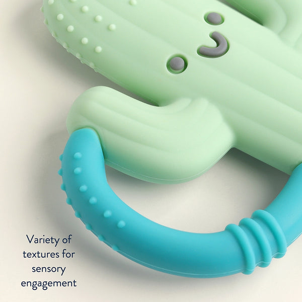 Chew Crew Silicone Teether - Cactus