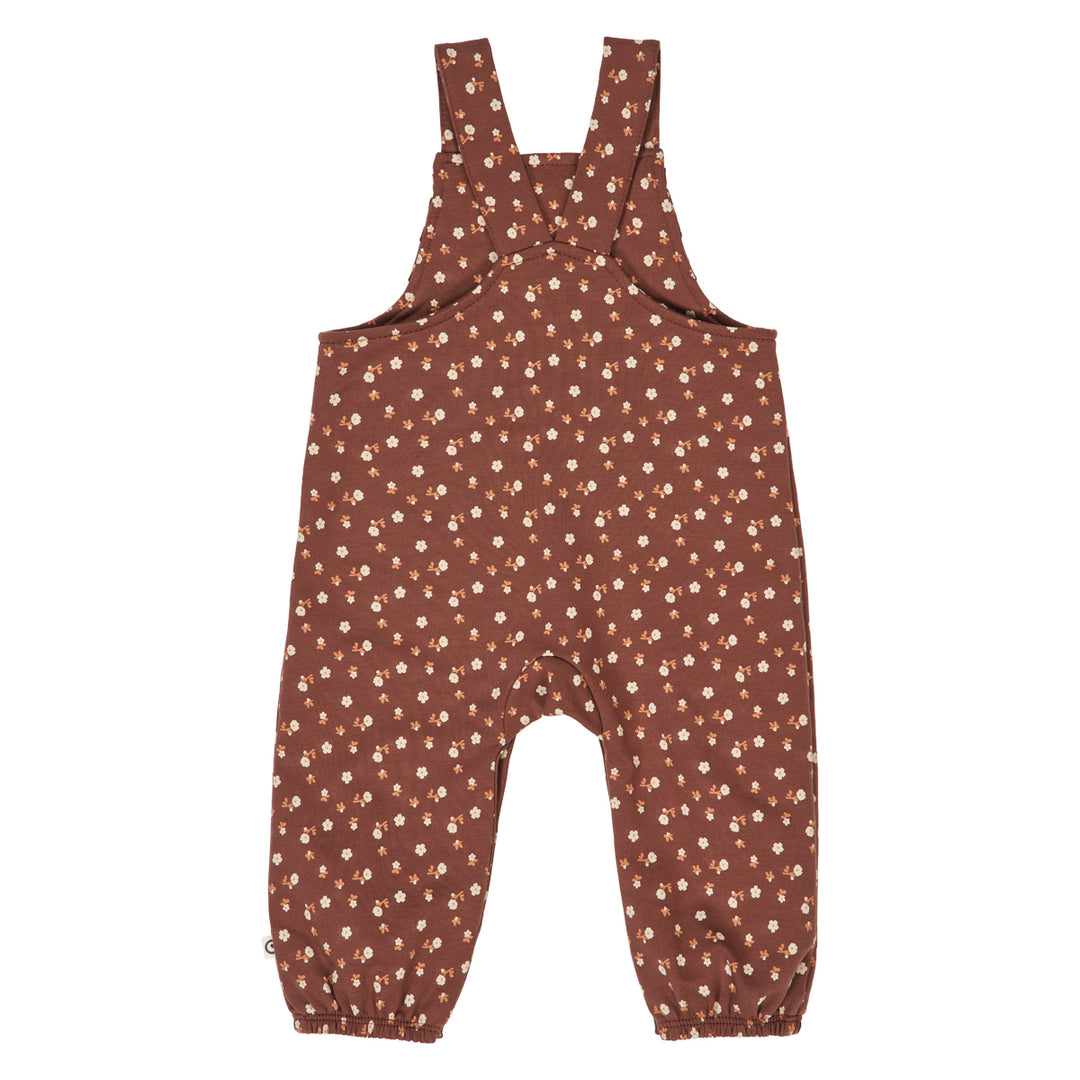 Cedar Floral Print Overalls