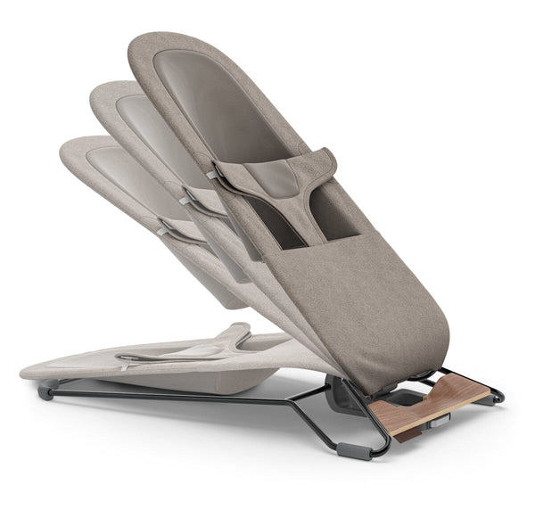 Mira 2-in-1 Bouncer and Seat - Charlie
