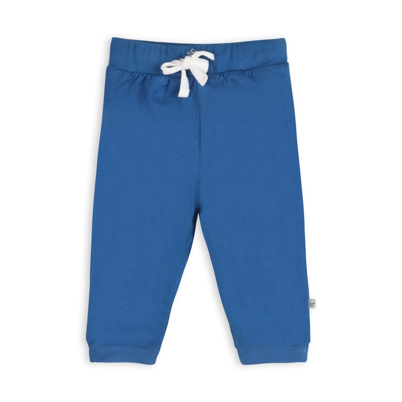 Organic Cotton Dino Baby Tee & Jogger Set