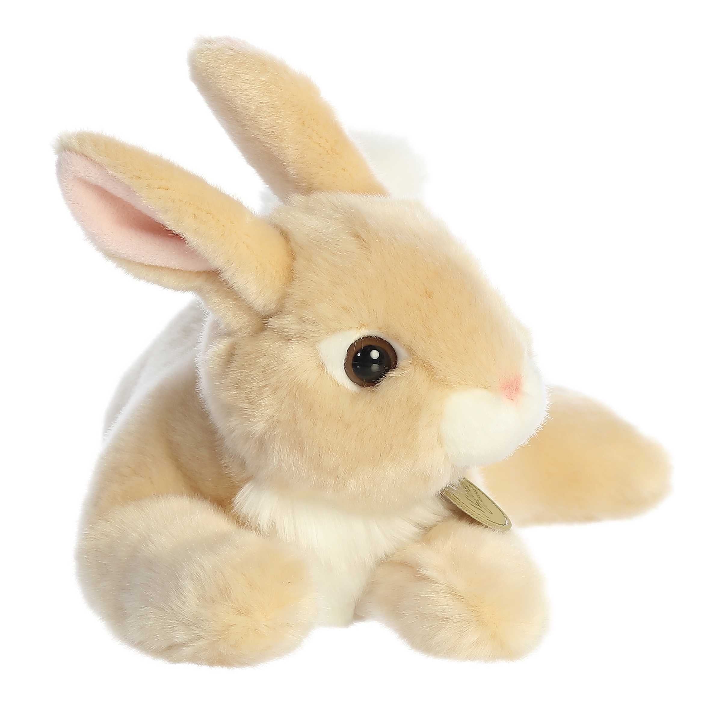 Resting Bunny - Tan Rex