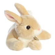 Resting Bunny - Tan Rex