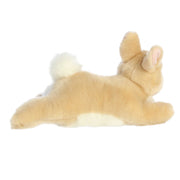 Resting Bunny - Tan Rex