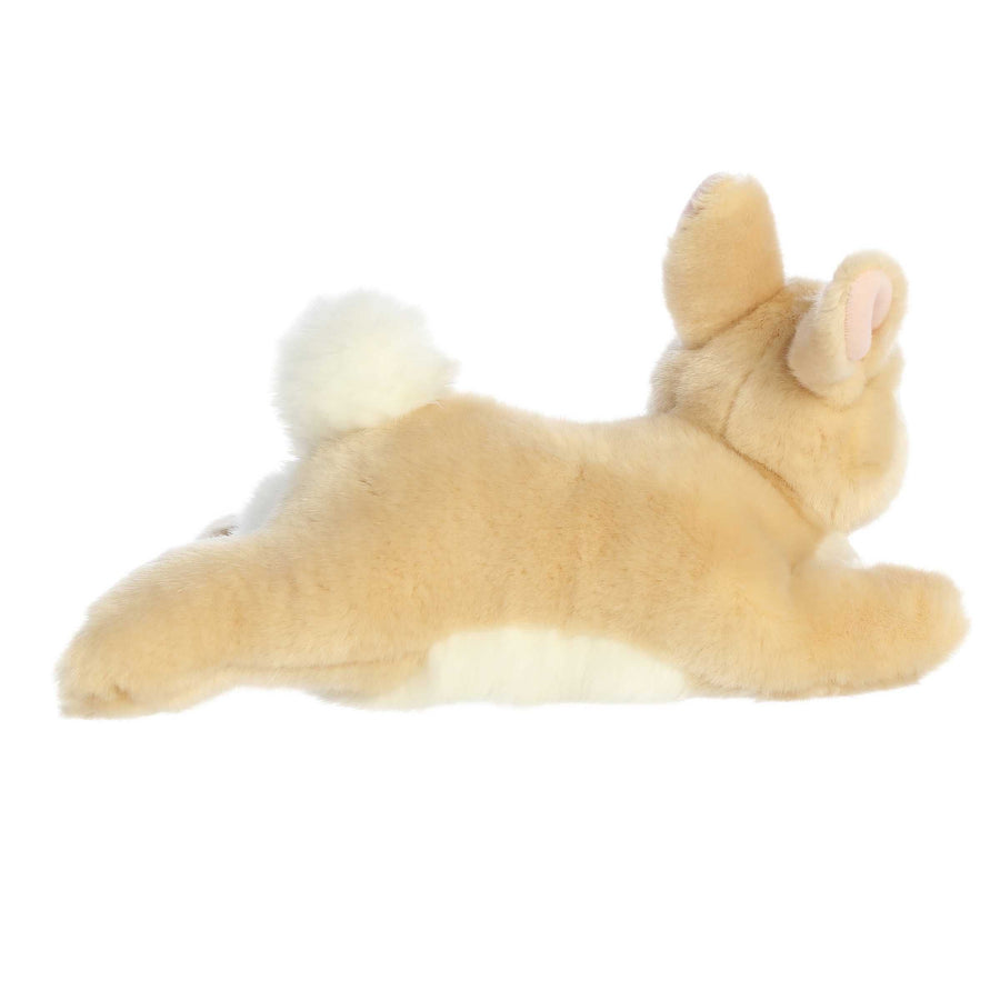 Resting Bunny - Tan Rex