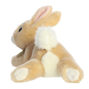 Resting Bunny - Tan Rex