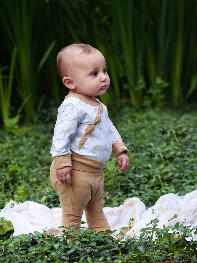Shoulder Snap Long Sleeve Onesie - Ari Aardvark