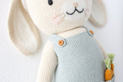 Henry the Bunny