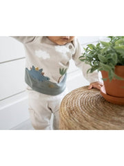 Dino Applique Button Baby Pullover Sweater - Stone