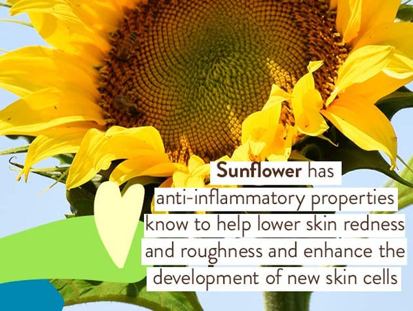 Sheer Zinc Sunscreen SPF 30