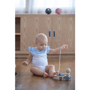 Pull-Along Musical Bear