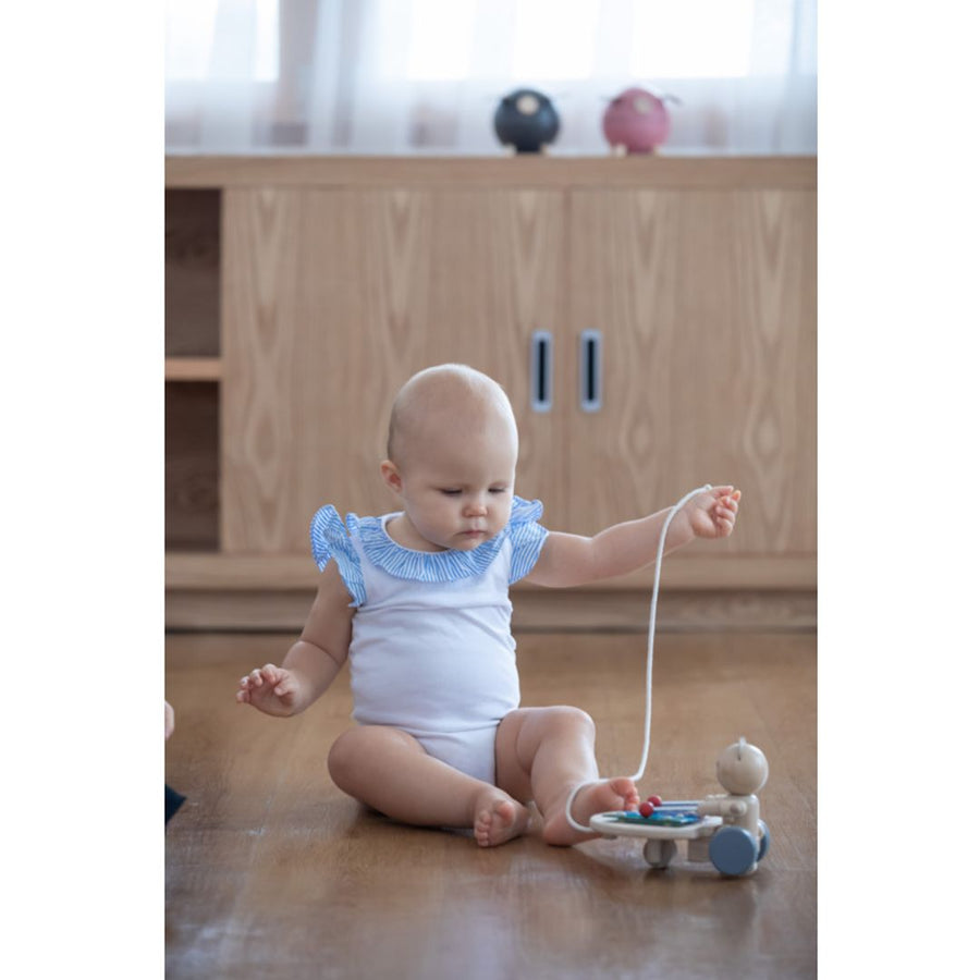 Pull-Along Musical Bear