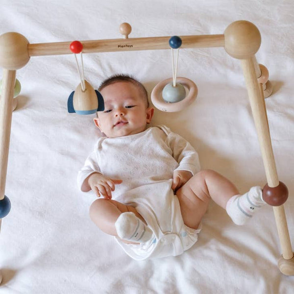 Play Gym - Orchard