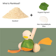 Push-Along Duck