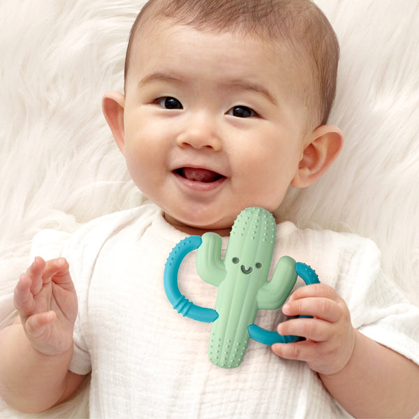 Chew Crew Silicone Teether - Cactus