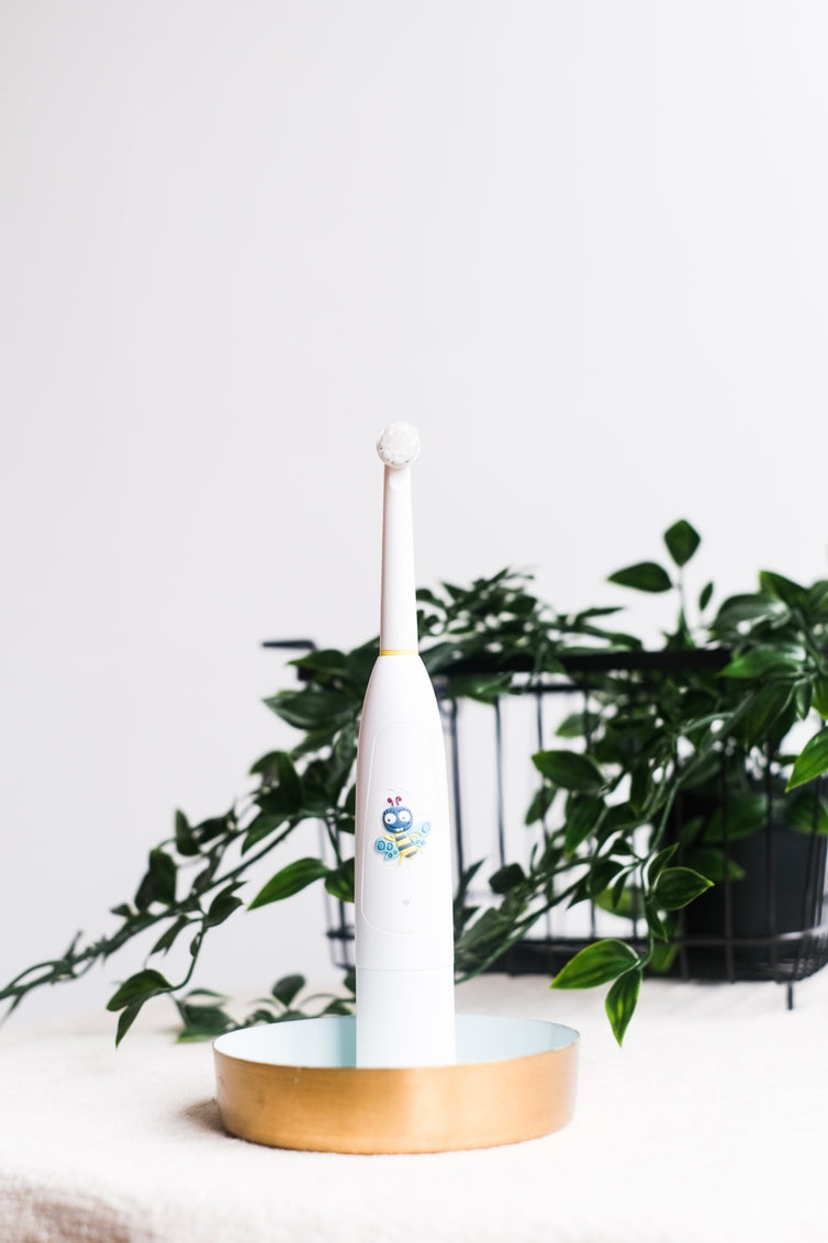 Kids Electric Musical Toothbrush Buzzy Brush (3+ Yrs)