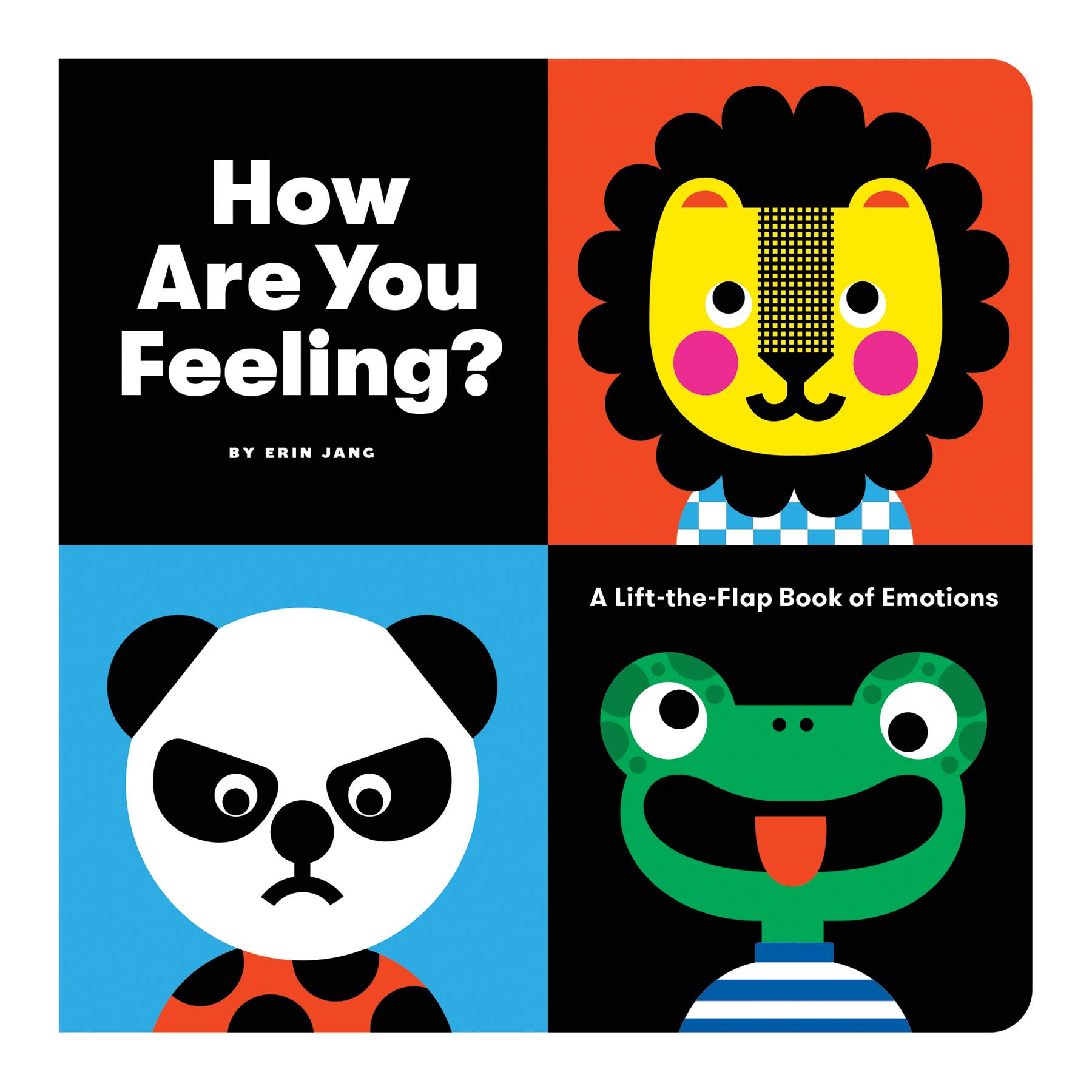 How are You Feeling - A Lift the Flap Book