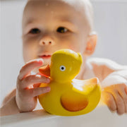 Lily The Duck
