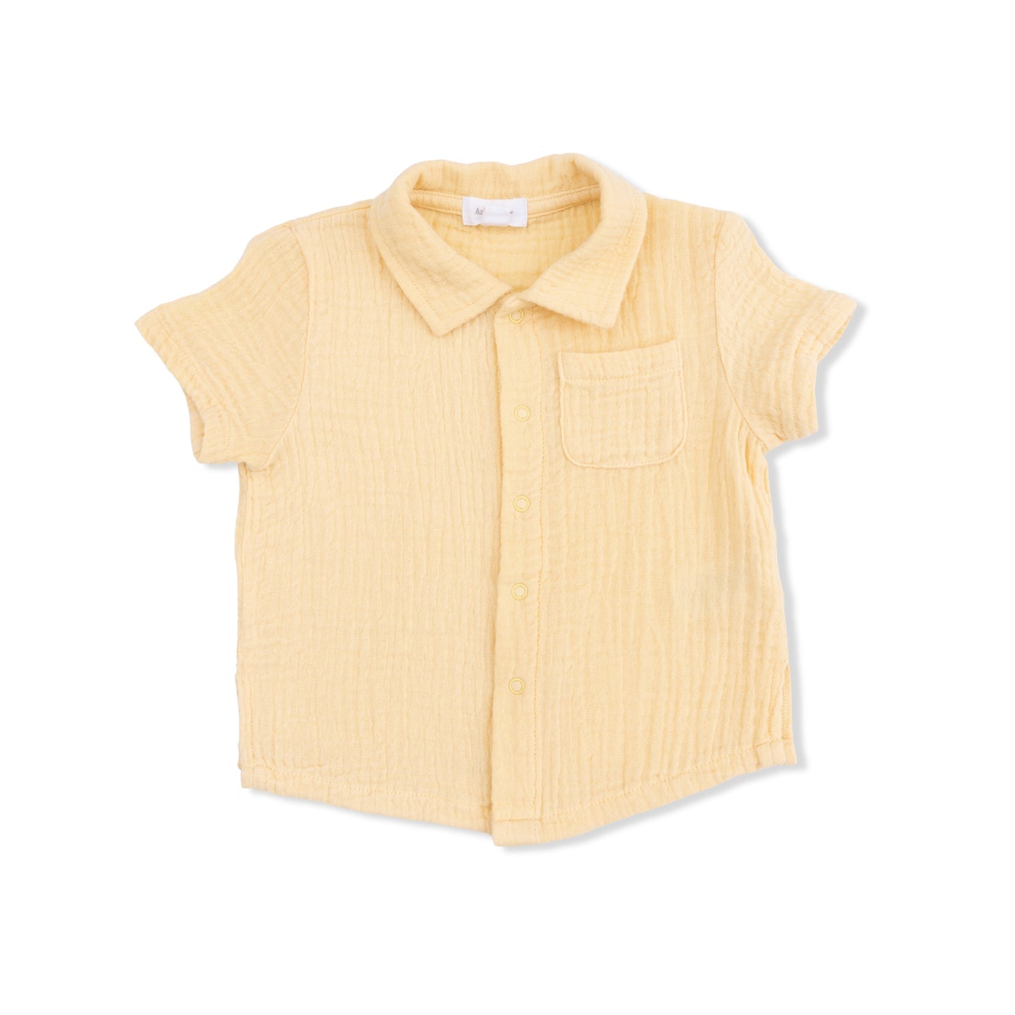 Polo Button Up with Everyday Shorts - Micro Gingham Blue Blizzard
