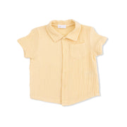 Polo Button Up with Everyday Shorts - Micro Gingham Blue Blizzard