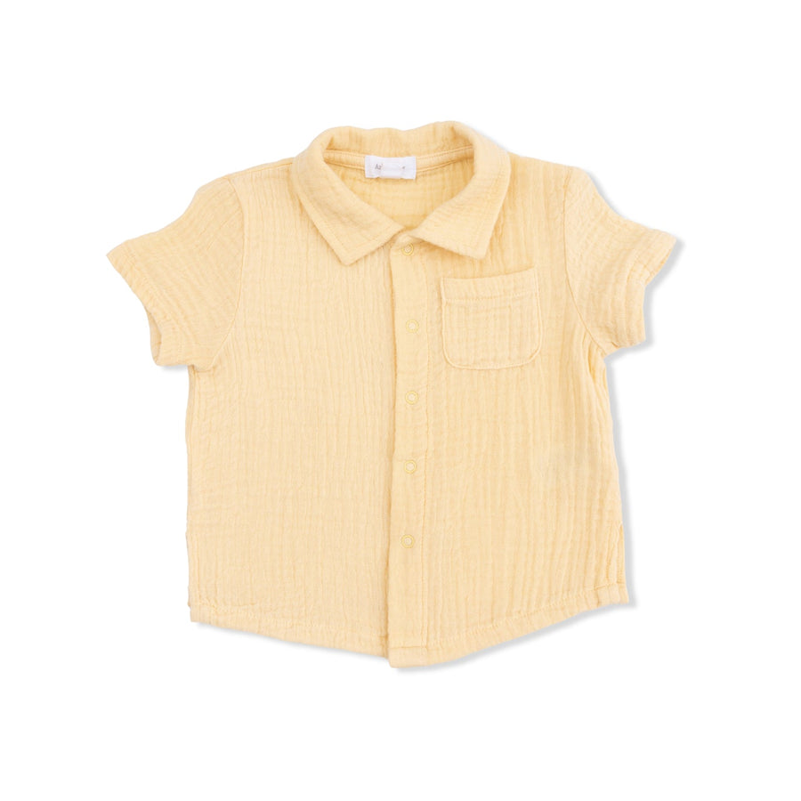 Polo Button Up with Everyday Shorts - Micro Gingham Blue Blizzard