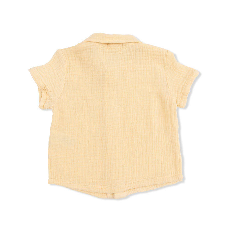 Polo Button Up with Everyday Shorts - Micro Gingham Blue Blizzard