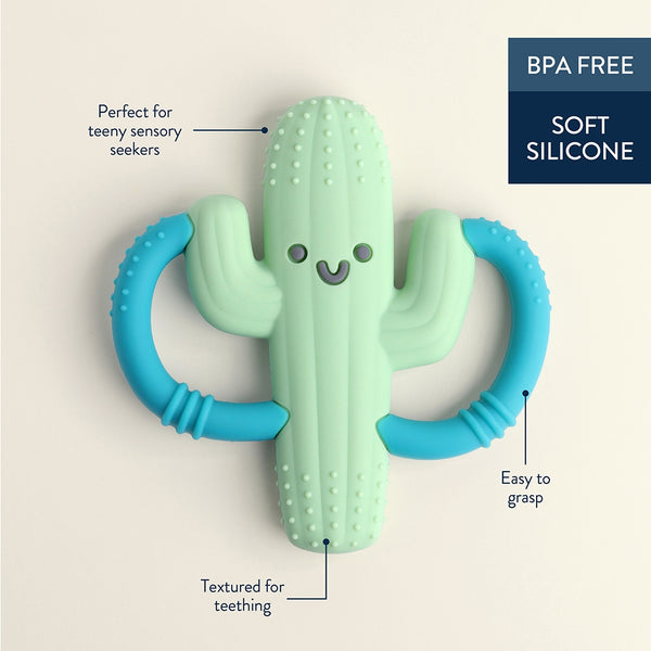 Chew Crew Silicone Teether - Cactus