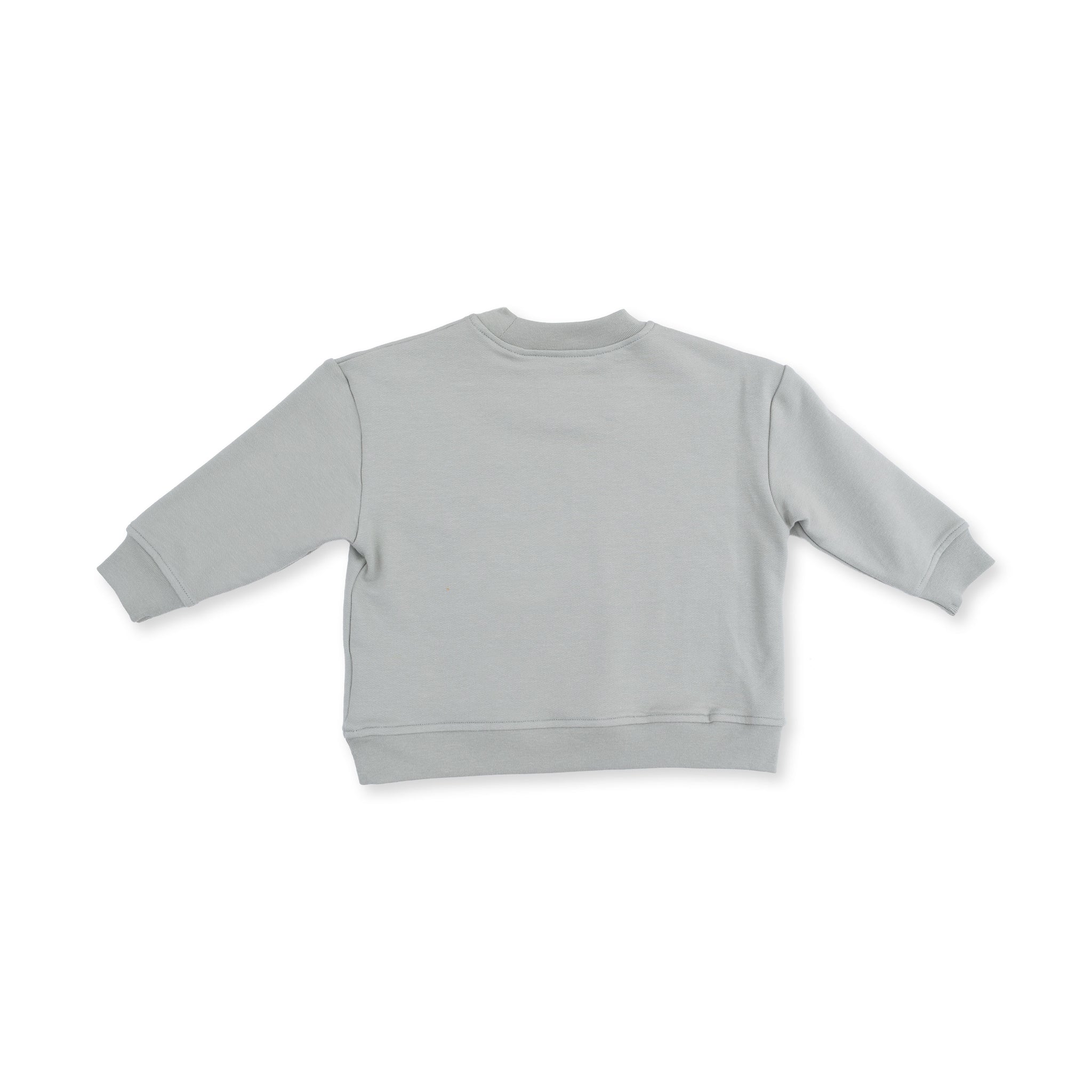 Drop Sleeve Sweatshirt - Dinos French Terry