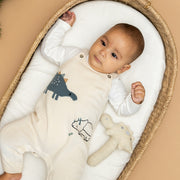 Organic Stuffed Baby Stick Rattle - Dino