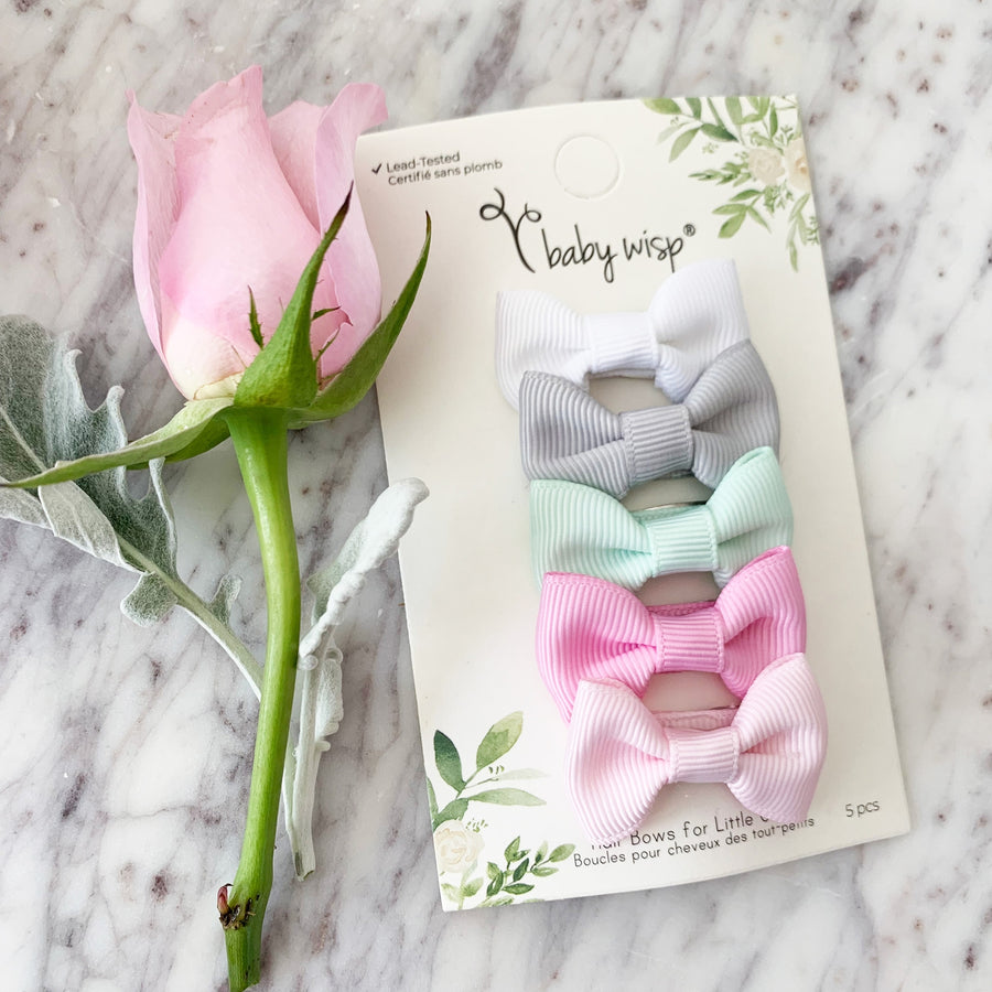 Charlotte Snap Clip Set Of 5 - Various Colors