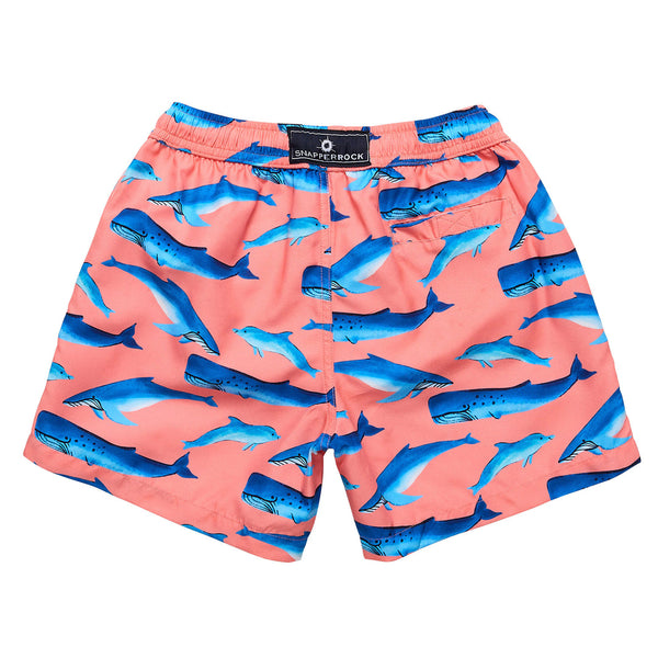 Whale Tail Swim Shorts