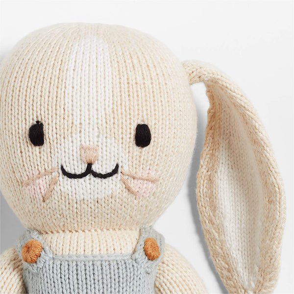 Henry the Bunny