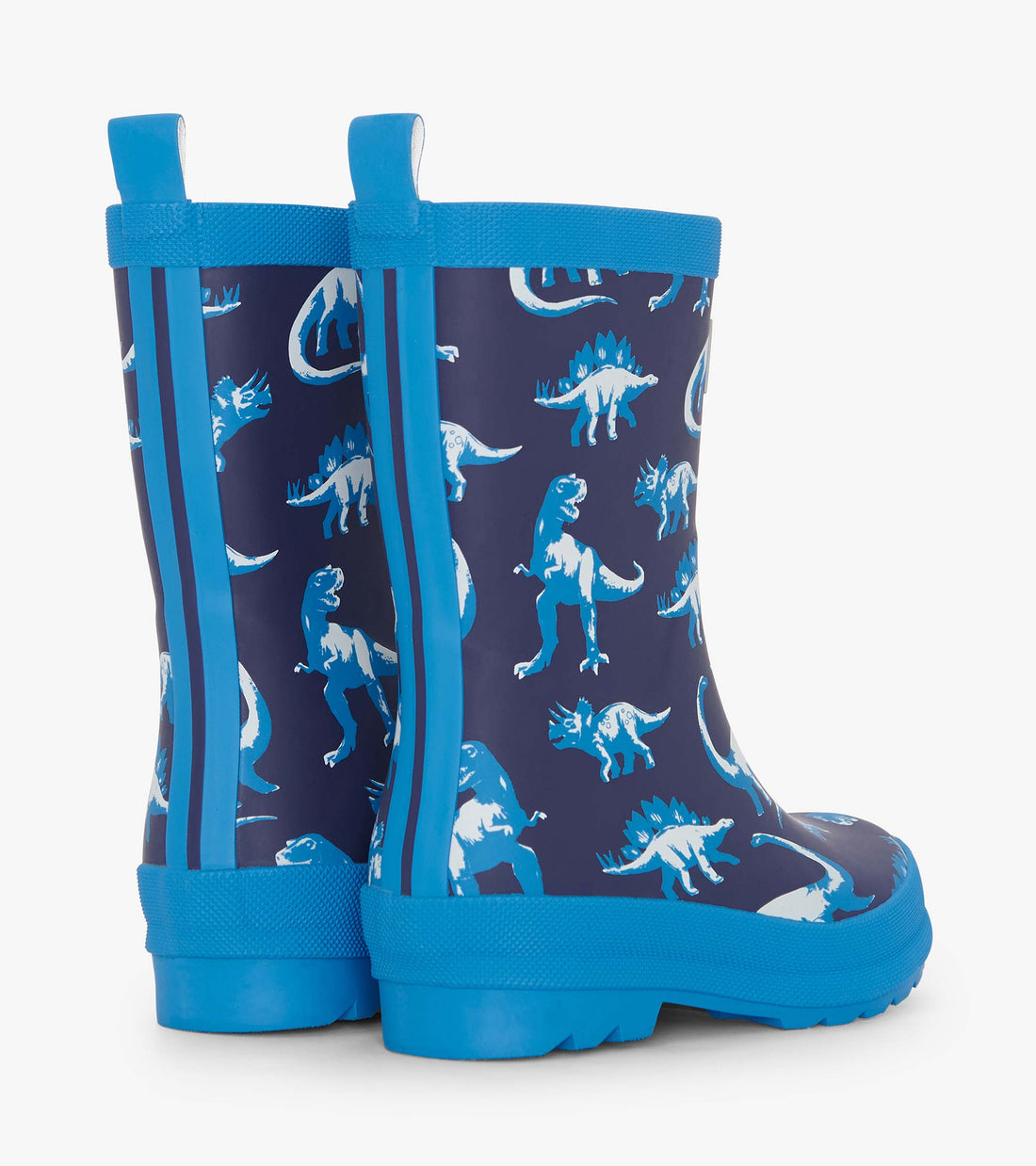 Matte Rain Boots- Painted Dinos
