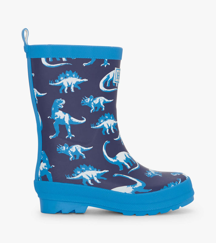 Matte Rain Boots- Painted Dinos